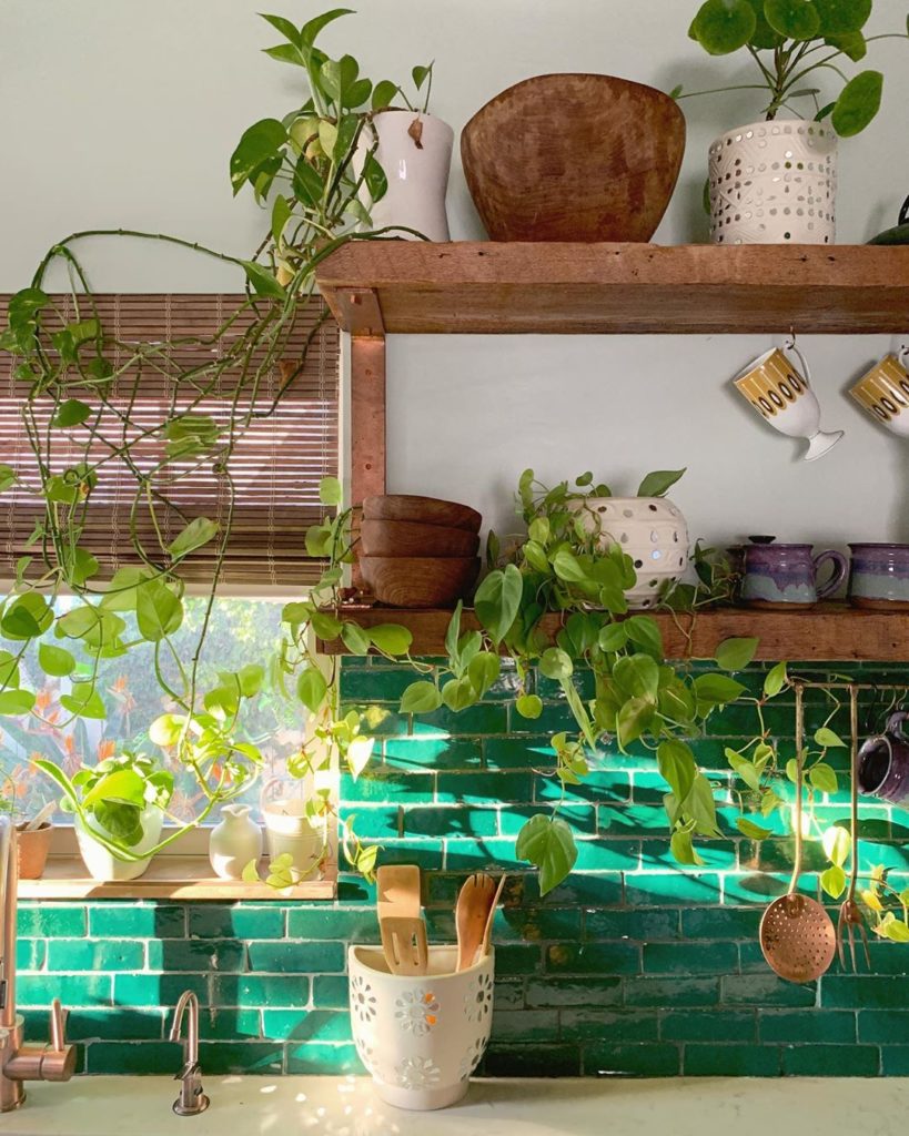 thejungalow: Our new mirrored pots are like a really chic discoball your plants can have 24/7… Our new mirrored pots are like a really chic discoball your plants can have 24/7...