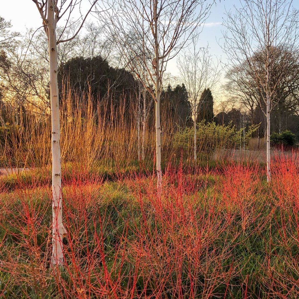 The plant colours were a mix of subtle and extraordinarily vibrant in the new wi...