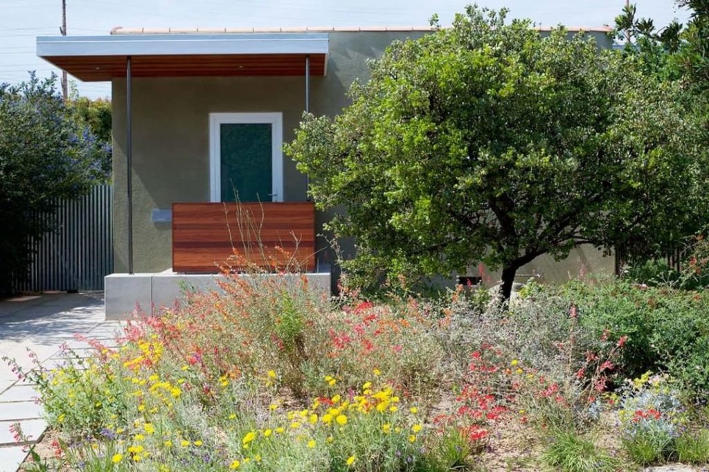 What garden tours do you enjoy each year?
.
The 2020 @theodorepayne Native Plant...