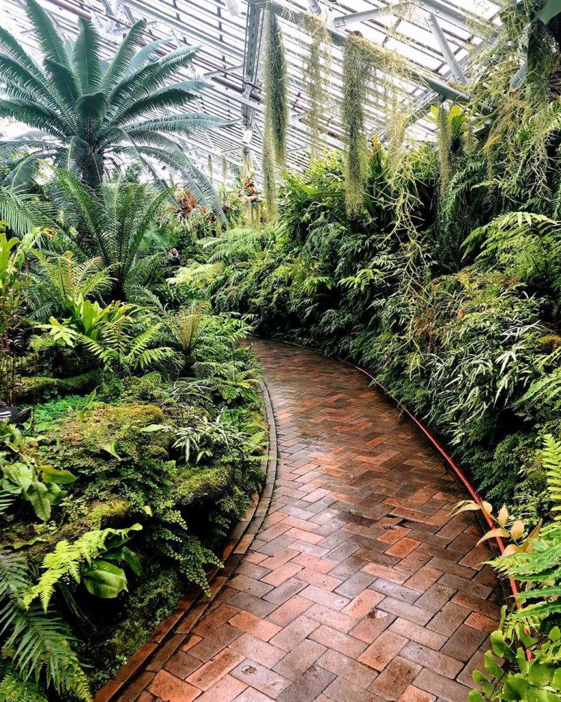New year, new plantspiration! #jungalow...