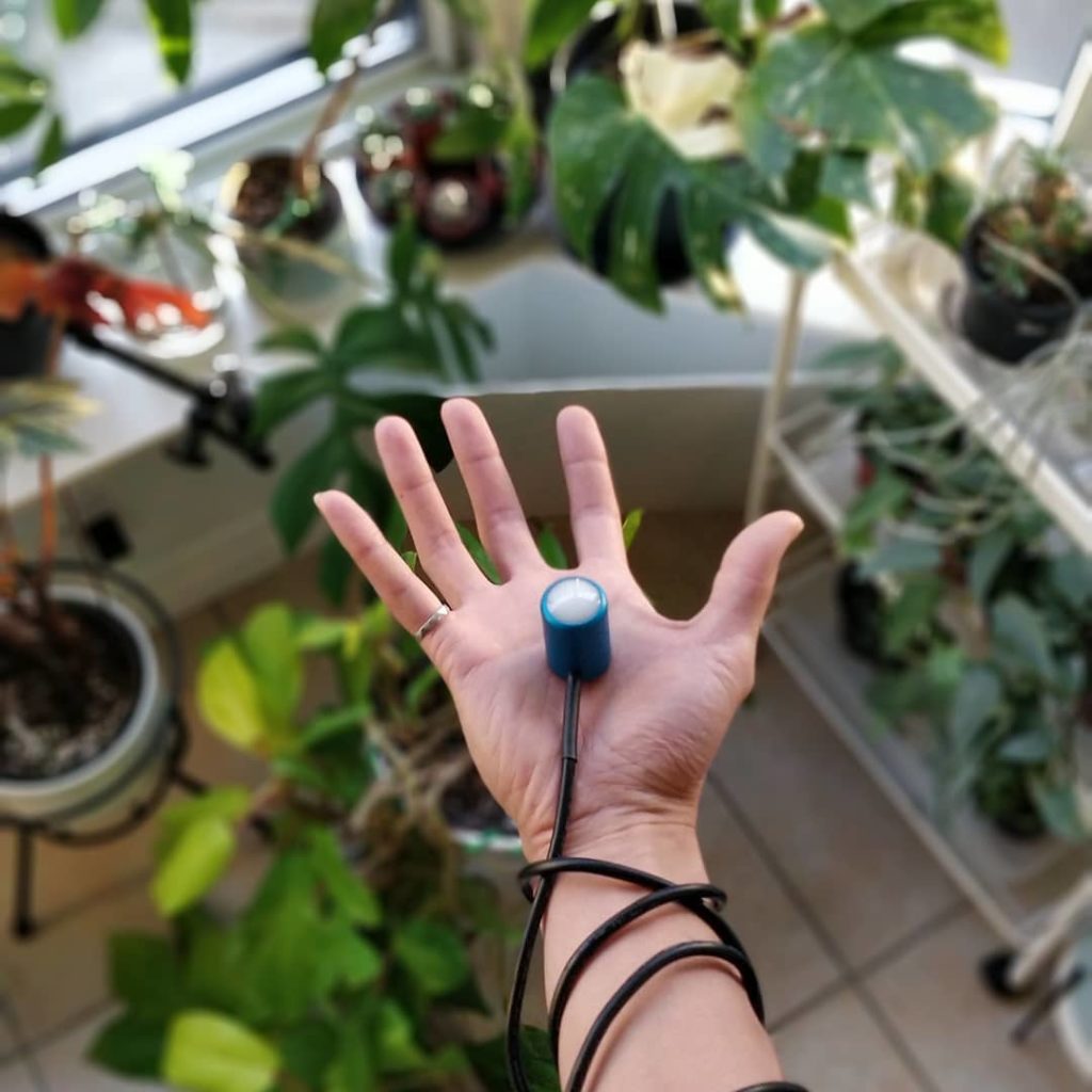 houseplantjournal: With the help of these devices, I’ve been able to make a very detailed analysis … With the help of these devices, I've been able to make a very detailed analysis ...