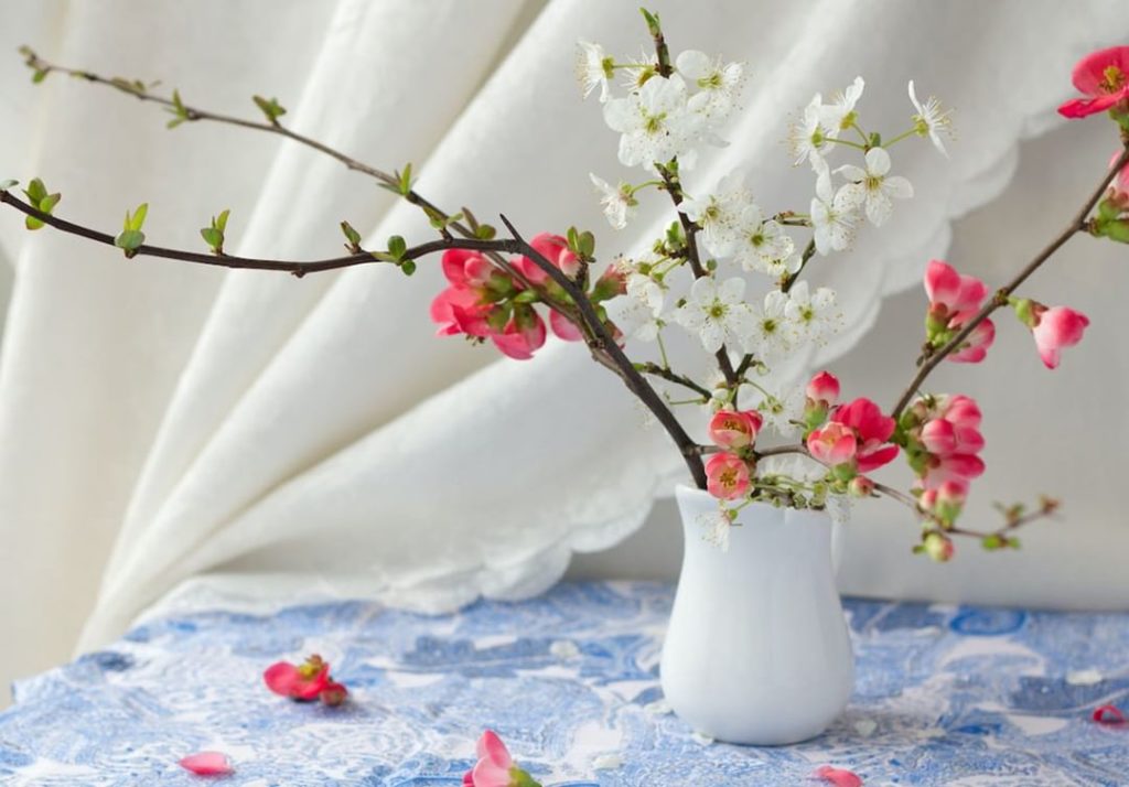 gardendesignmag: Forcing branches to bloom indoors is just one way to cure the winter blues! Have… Forcing branches to bloom indoors is just one way to cure the winter blues! Have...