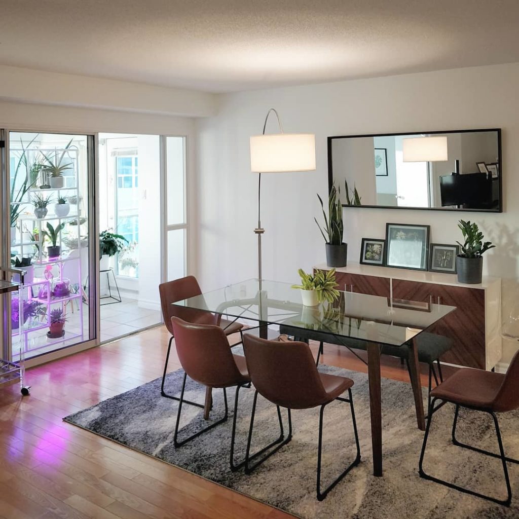 houseplantjournal: Plants on decor duty: in spaces far from windows, I place plants for decorative … Plants on decor duty: in spaces far from windows, I place plants for decorative ...