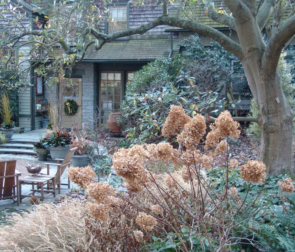 Explore the seasonal beauty of scott_arboretum on January 21st with their Winter...