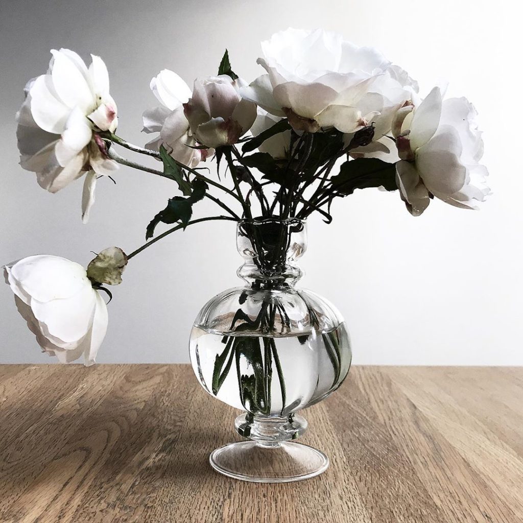 sheilajacklandscapes: Roses from my garden 18 January #rosaiceberg #pruning #salvage #simplepleasures … Roses from my garden 18 January #rosaiceberg #pruning #salvage #simplepleasures ...