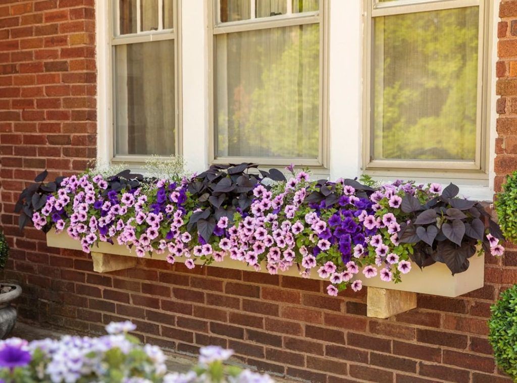 gardendesignmag: Don’t you just love it when plants pair perfectly together?!
.
Find plants that … Don't you just love it when plants pair perfectly together?!
.
Find plants that ...