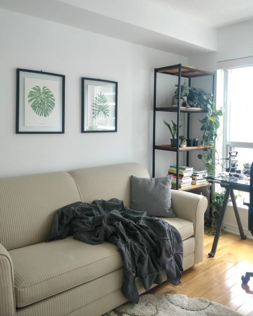 houseplantjournal: Let’s analyze the light here…
.
Current weather: overcast
Time: 2:00pm
.
1… Let's analyze the light here...
.
Current weather: overcast
Time: 2:00pm
.
1...