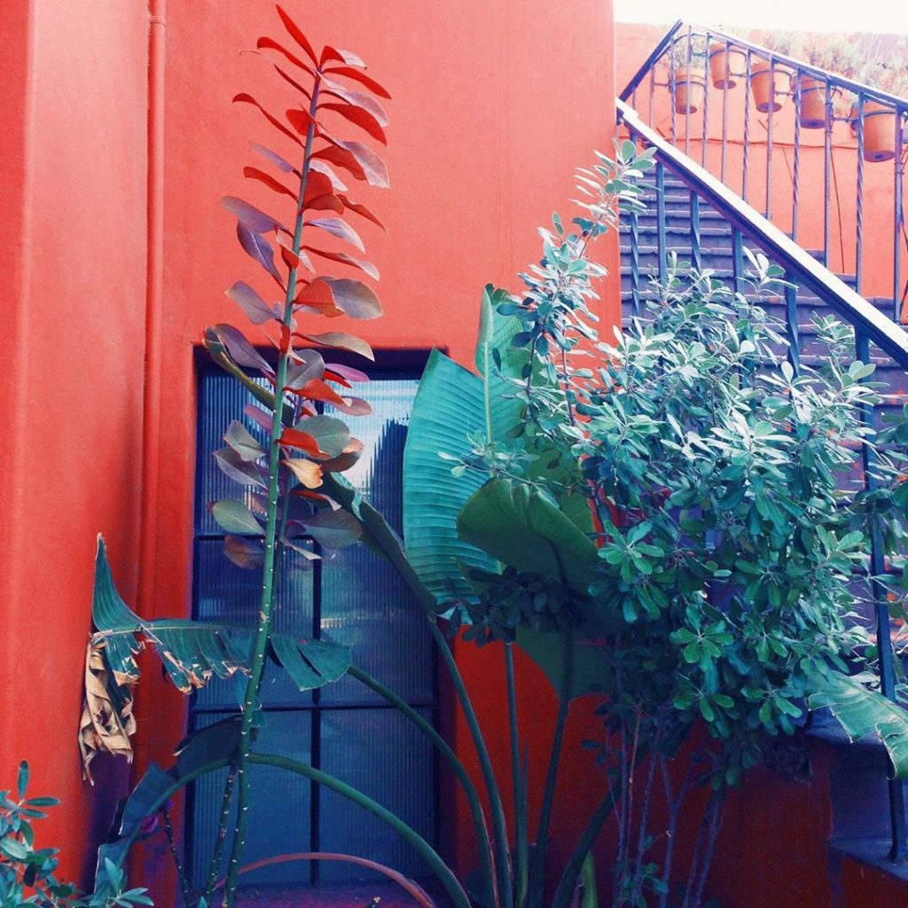 A lil color inspo to start the weekend off right!  Do you have a colorful happy ...