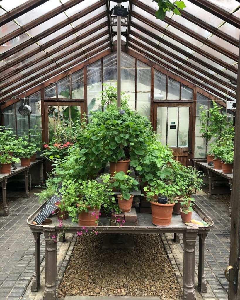 richardmiers: First day with me lecturing on the Essential Garden Design Diploma at the Englis… First day with me lecturing on the Essential Garden Design Diploma at the Englis...