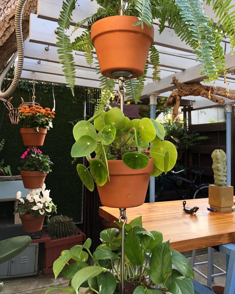 How will you garden differently this spring? Try out SkyPots  An all-new way to ...