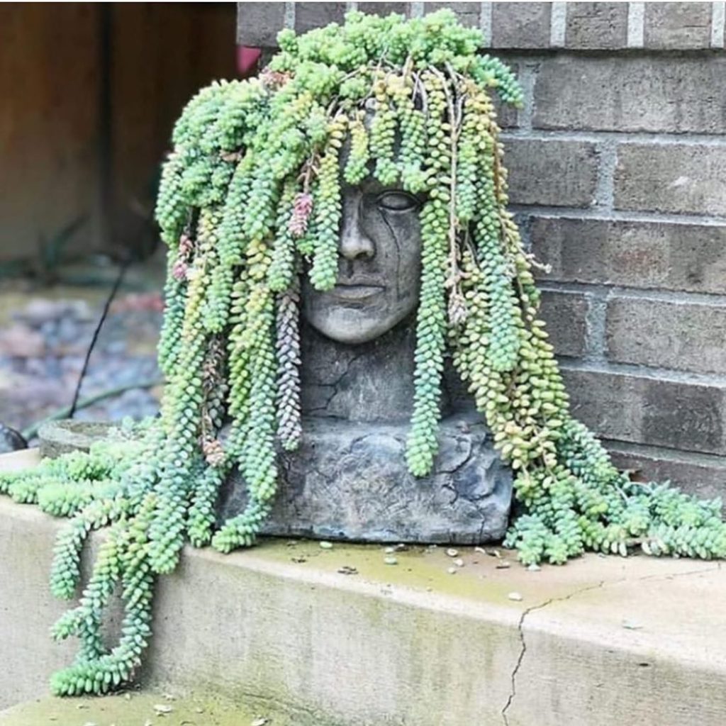 Caption this photo for a chance to win a FREE box of cuttings!! Winner TBA tomor...
