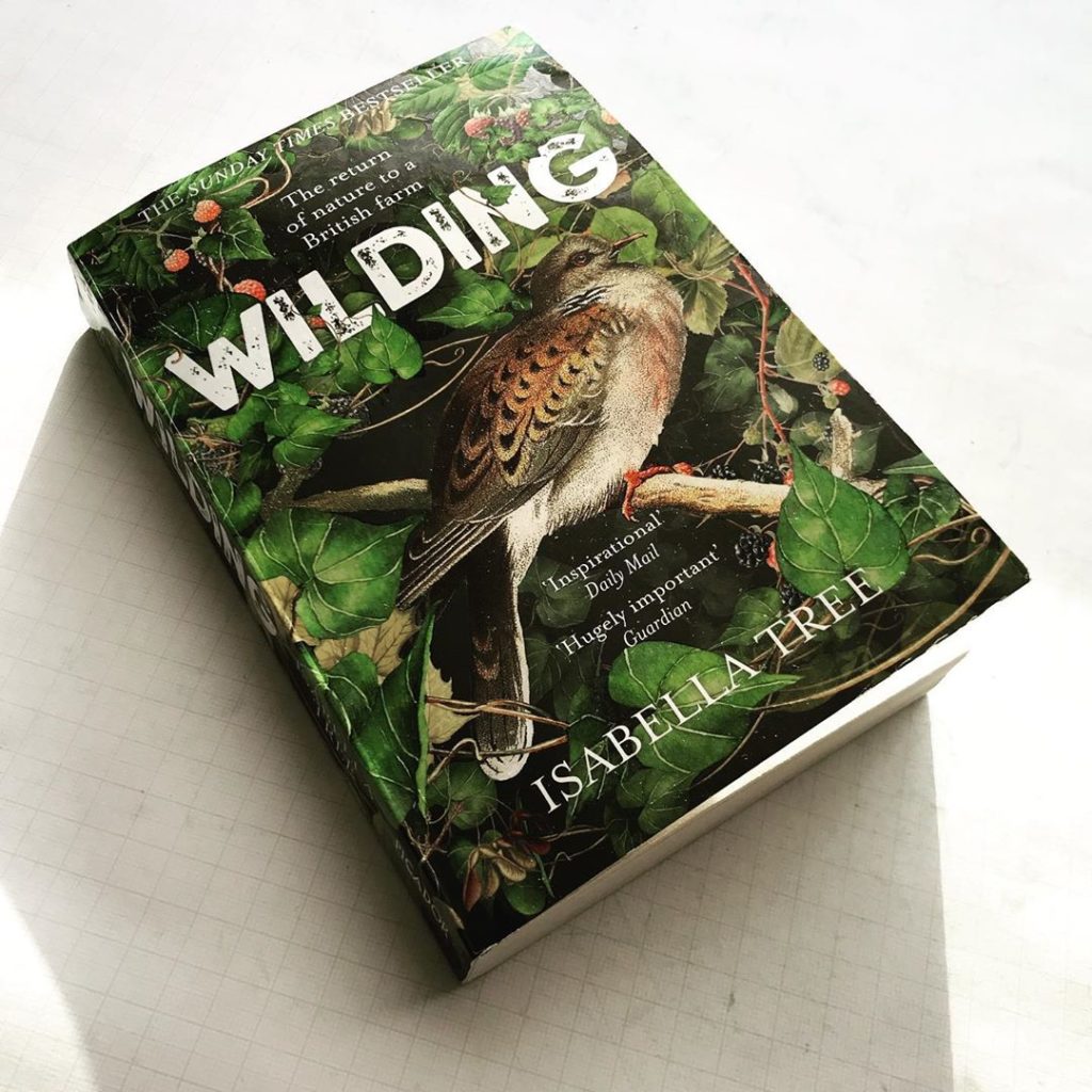 sheilajacklandscapes: If you haven’t already do read… Isabella Tree’s wonderful book about the #knep… If you haven’t already do read... Isabella Tree’s wonderful book about the #knep...