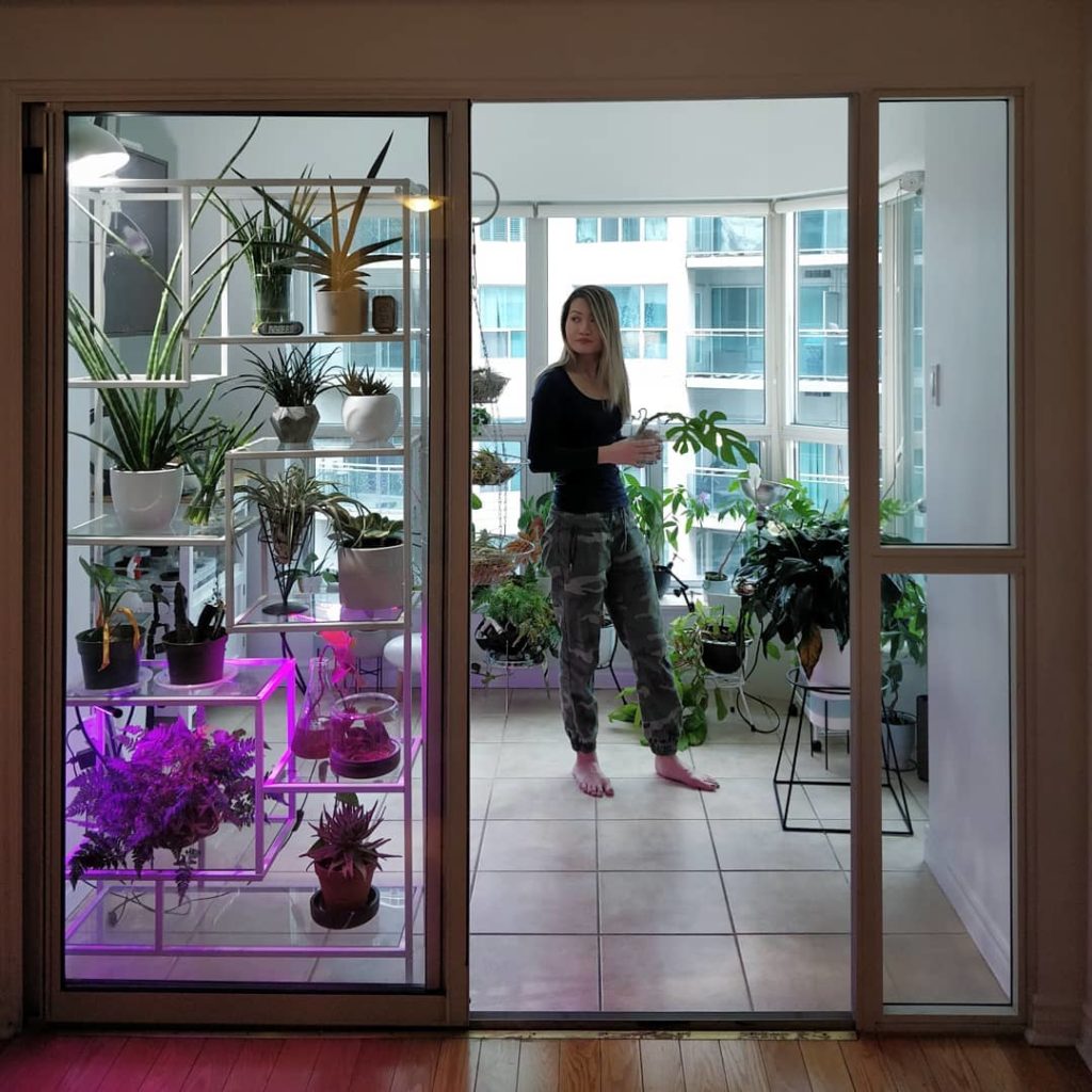 My wife is the organizational master of our place - after the chaos of the move,...