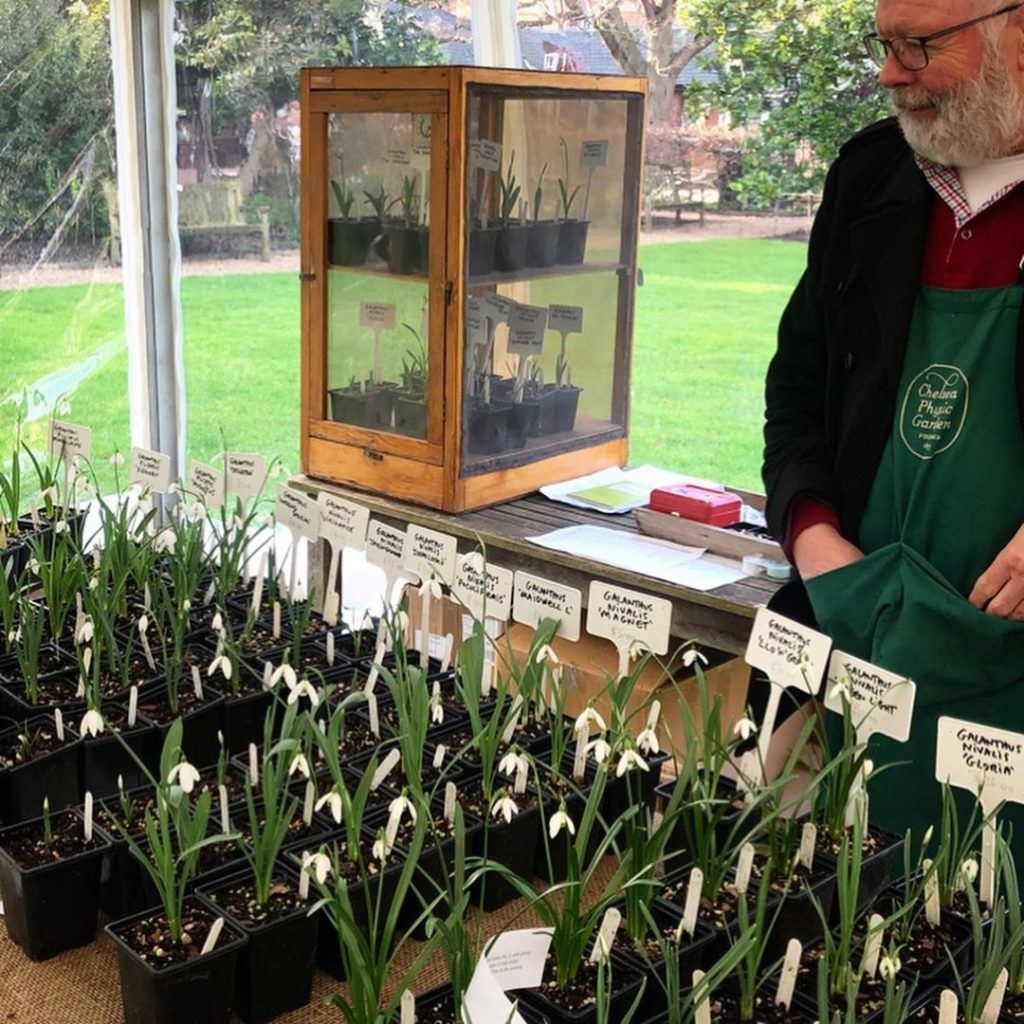 richardmiers: Galanthus heaven here at the @chelseaphysicgarden Most of these special named … Galanthus heaven here at the @chelsea_physic_garden Most of these special named ...