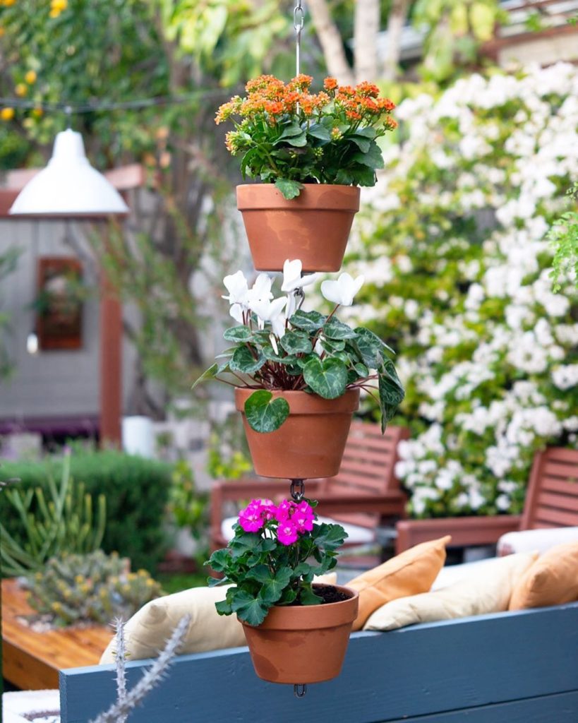 Winter colors in this SkyPots three-pack using three 8-inch terra cotta clay pot...