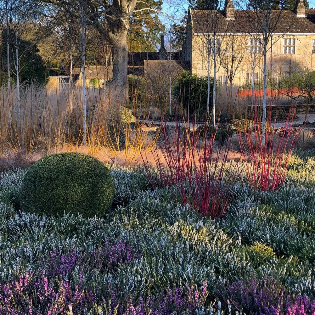 The plant colours were a mix of subtle and extraordinarily vibrant in the new wi...