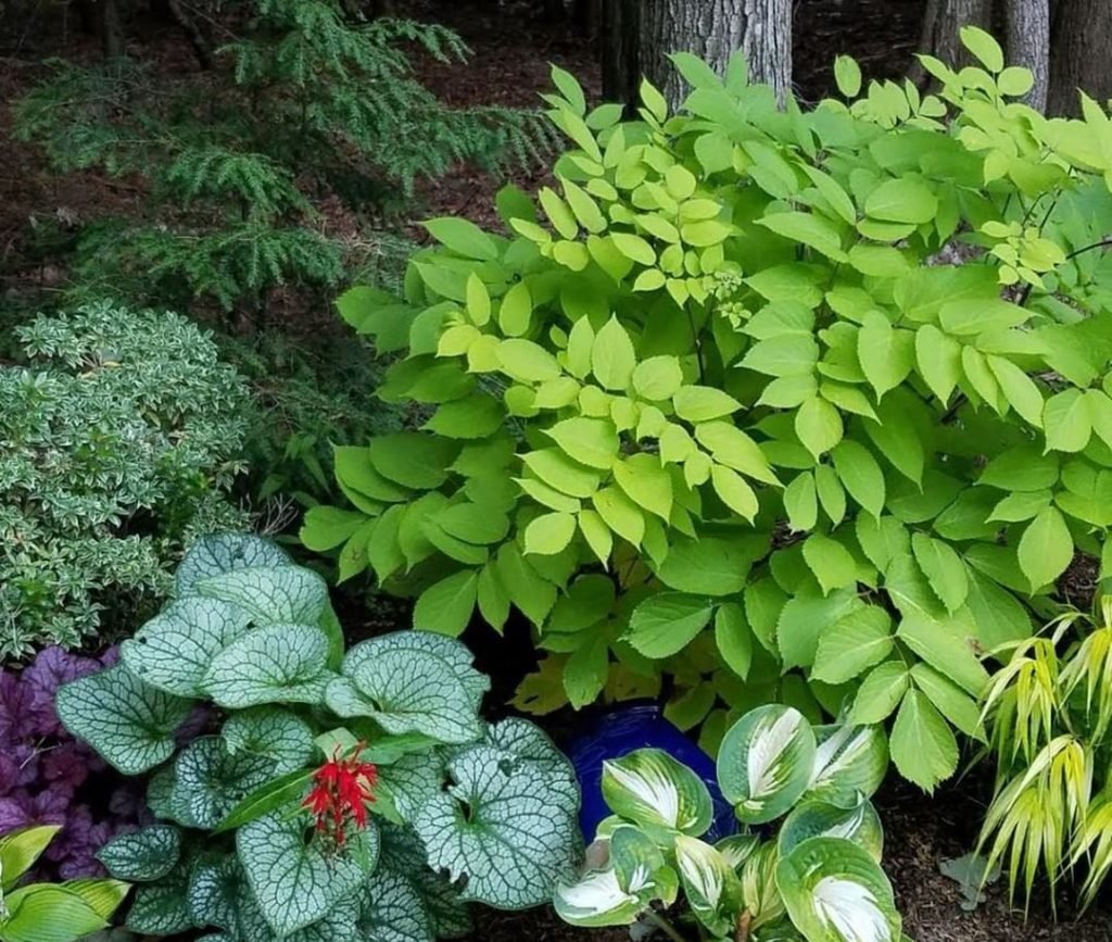 Need help on designing your small garden space?
.
Sign up for this webinar, Desi...