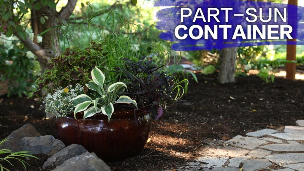 Garden Answer: Part Sun Container // Garden Answer Part Sun Container // Garden Answer