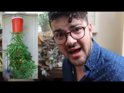 MIgardener: The Science Behind Why Plants Grow UP and Roots Grow DOWN The Science Behind Why Plants Grow UP and Roots Grow DOWN