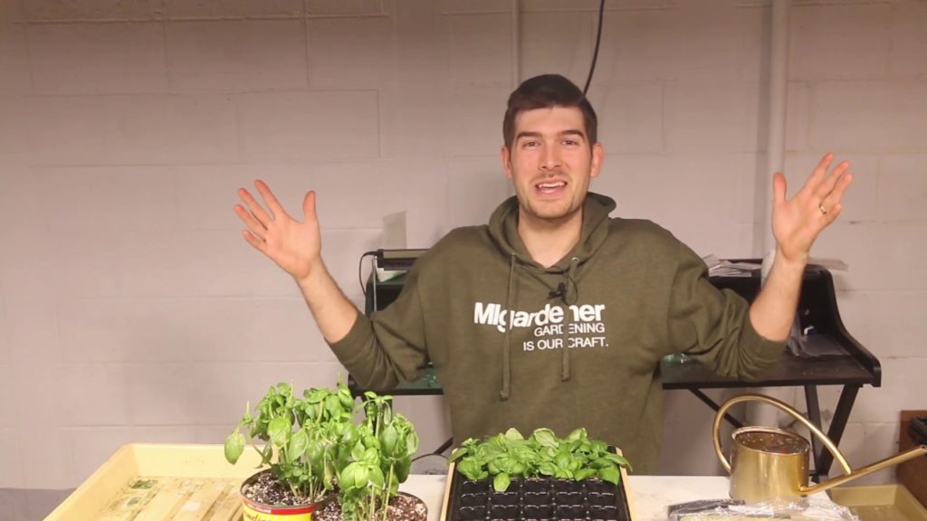 7 BIGGEST Seed Starting Mistakes Gardeners Make