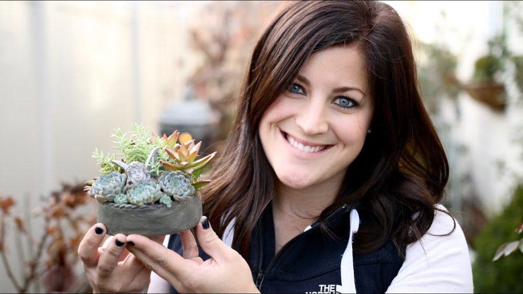 Garden Answer: How to Make a Mini Fairy Garden (Full Version) How to Make a Mini Fairy Garden (Full Version)