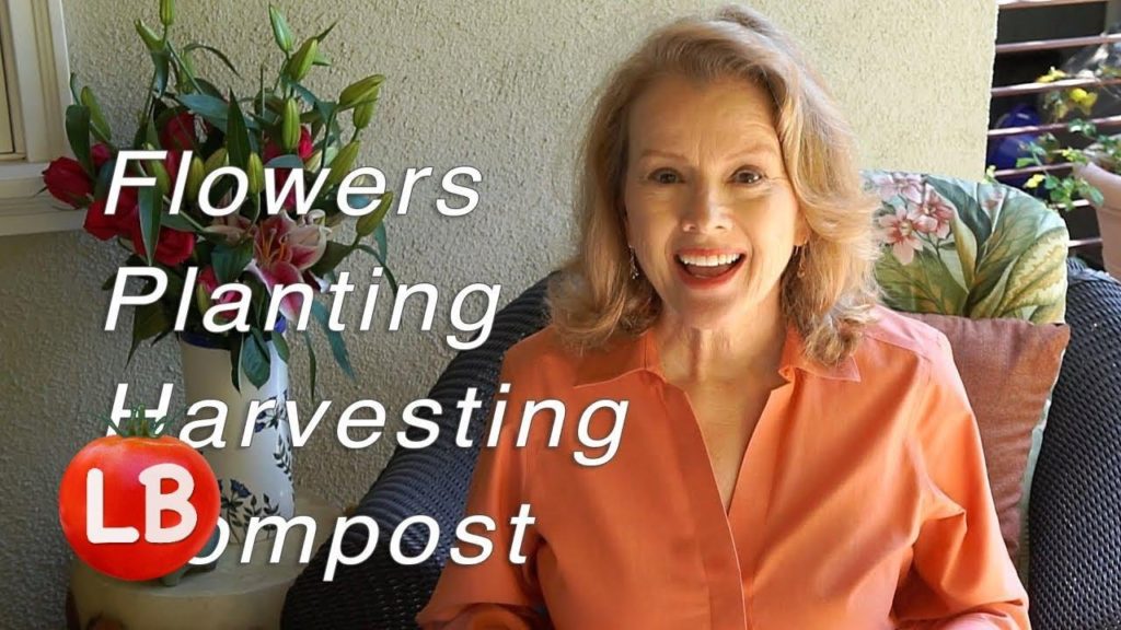 Kaye Kittrell: Thursday Workday | Comfrey, Flowers, Planting, Harvesting, Compost | Vlog Thursday Workday | Comfrey, Flowers, Planting, Harvesting, Compost | Vlog