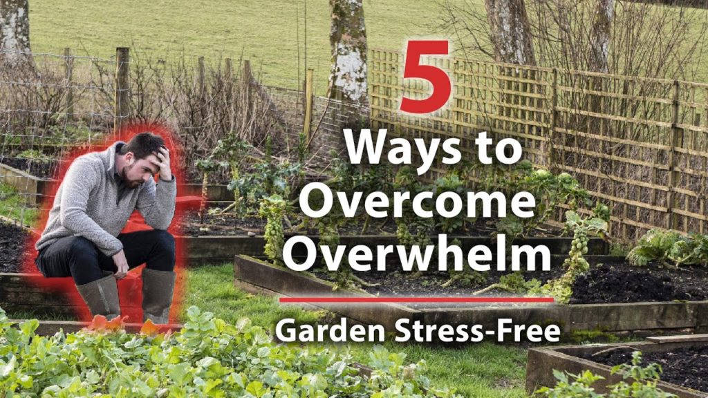 How to Not Feel Overwhelmed in The Garden (Free Yourself from Stress)