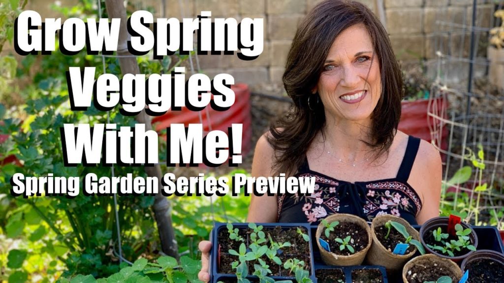 CaliKim: Grow Your Spring Vegetable Garden With Me! / Spring Garden Series Preview Grow Your Spring Vegetable Garden With Me! / Spring Garden Series Preview