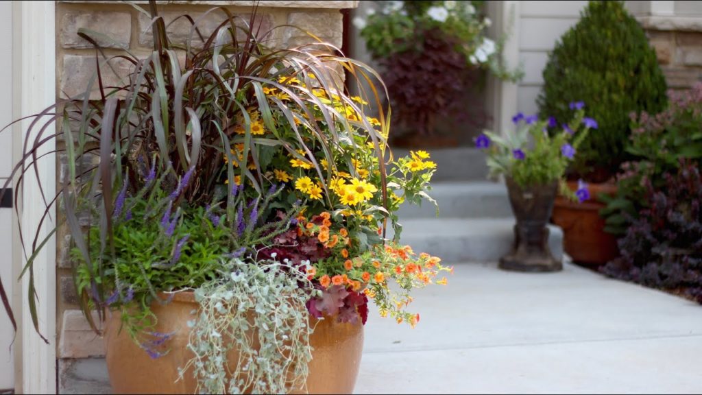 How to Create a Beautiful Fall Container