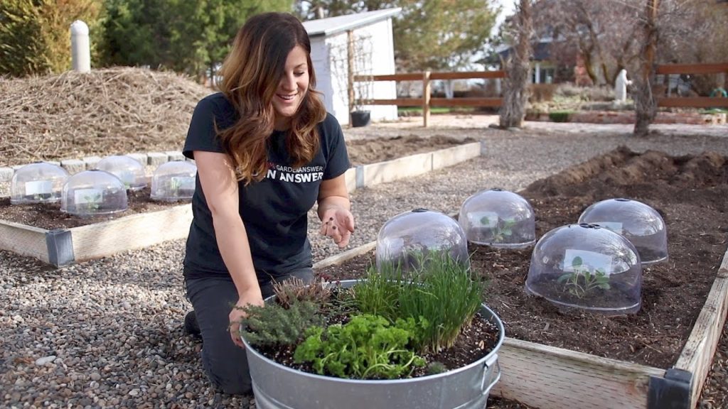 Garden Answer: Planting More Veggies // Garden Answer Planting More Veggies // Garden Answer