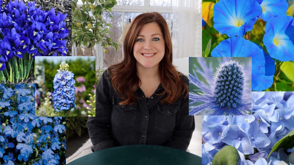 Garden Answer: 20+ Plants With Blue Flowers! 💙💙💙// Garden Answer 20+ Plants With Blue Flowers! 💙💙💙// Garden Answer