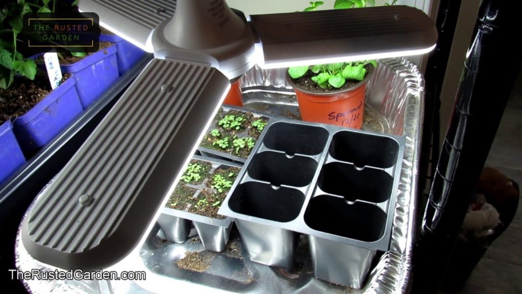 In 60 Seconds or Sow: How to Start Seeds Inexpensively on a Small Scale & What Supplies You'll Need