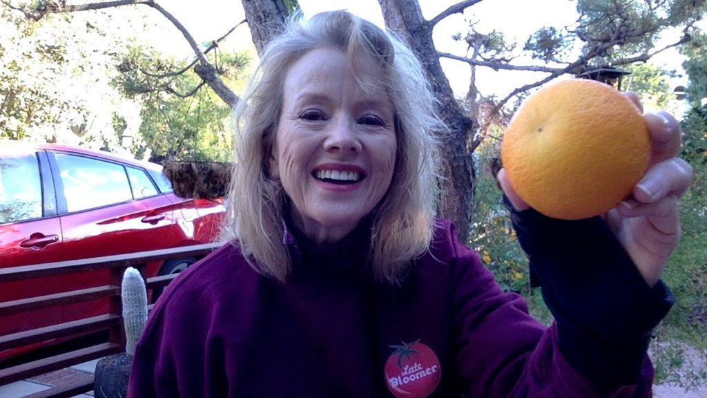 Live from Late Bloomer Garden 1.0! Join the Conversation!