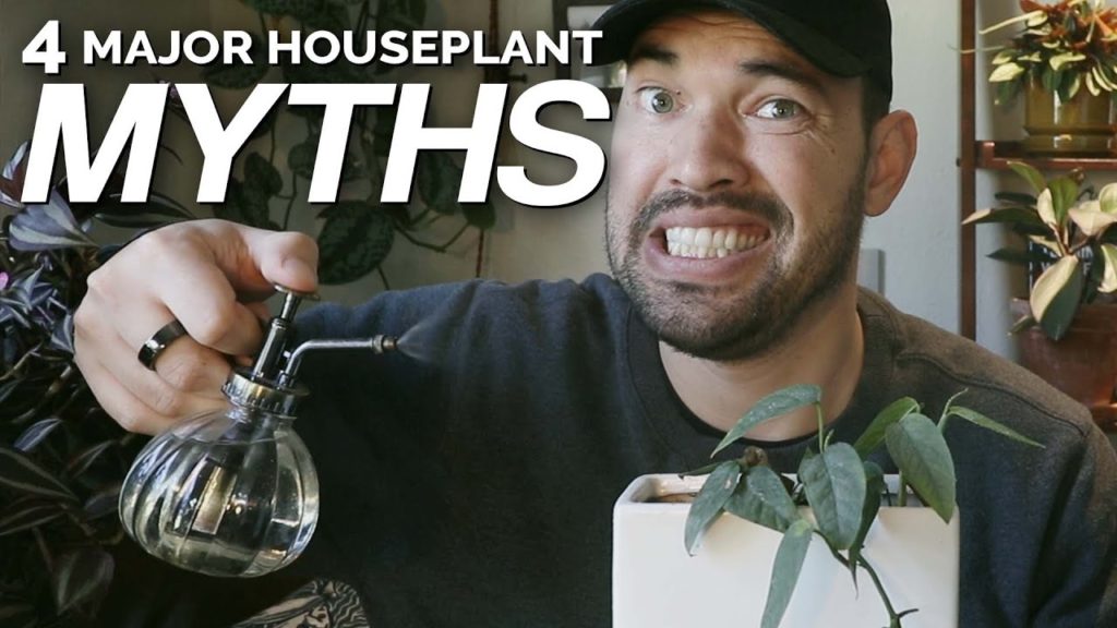 Epic Gardening: 4 Houseplant Myths We Should Stop Believing 4 Houseplant Myths We Should Stop Believing