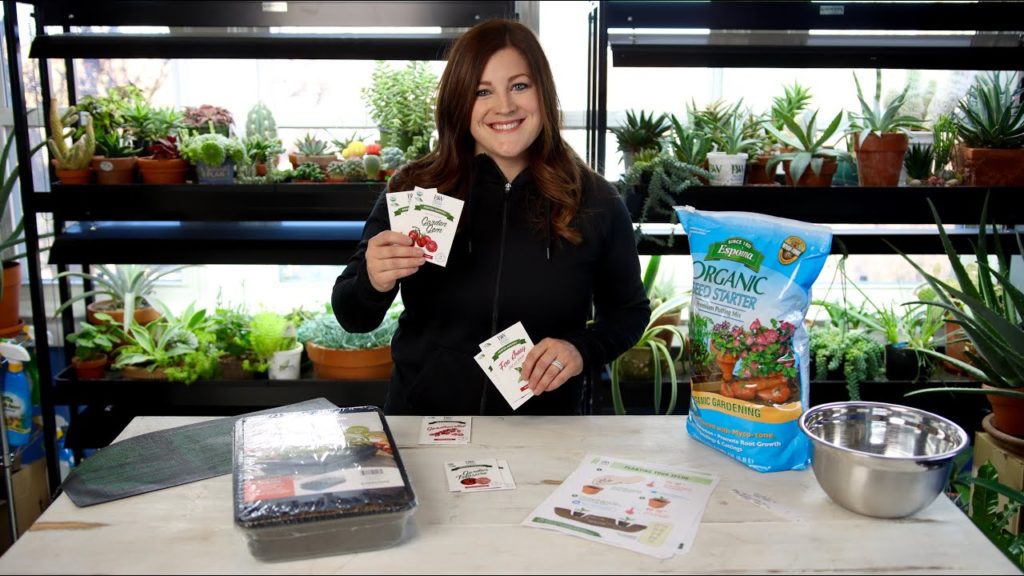 Starting Tomato & Pepper Seeds! 🍅🌿👩‍🌾// Garden Answer
