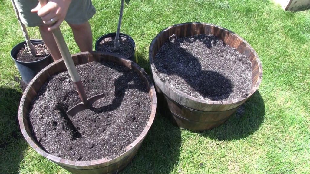 MIgardener: Grow 18 POUNDS of Apples in Just 1 Square Foot in Containers! Grow 18 POUNDS of Apples in Just 1 Square Foot in Containers!