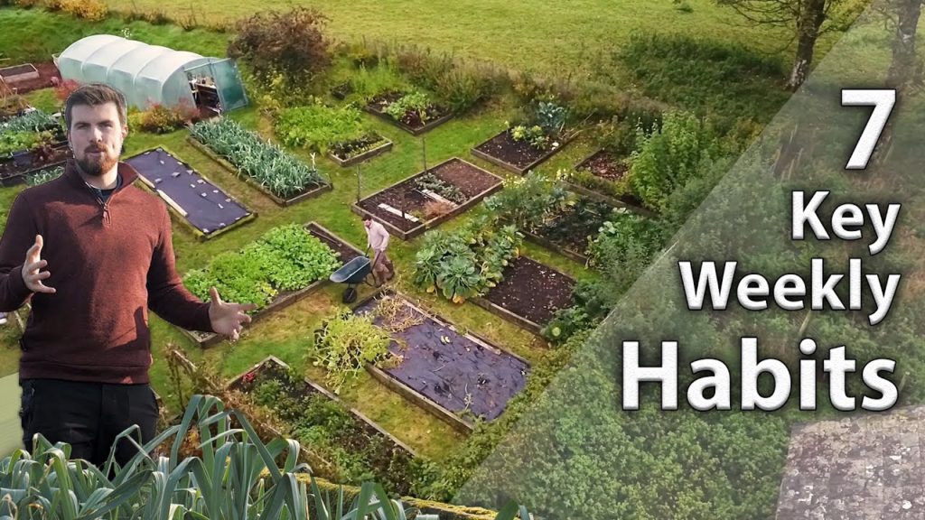 7 Weekly Habits Every Gardener Needs | Simple, Easy & Effective