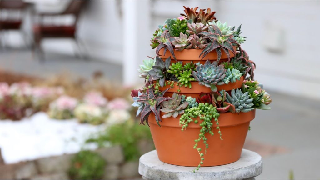 Succulent Tower 🌿// Garden Answer