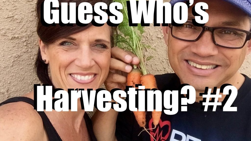 CaliKim: Guess Who is Harvesting? Part 2 Livestream (Replay) Guess Who is Harvesting? Part 2 Livestream (Replay)