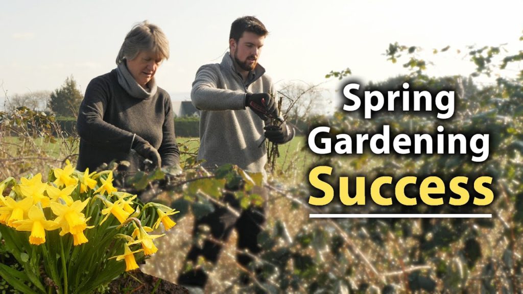 Huw Richards: 5 Essential Veg Garden Tips for a Succesful Start to Spring 5 Essential Veg Garden Tips for a Succesful Start to Spring