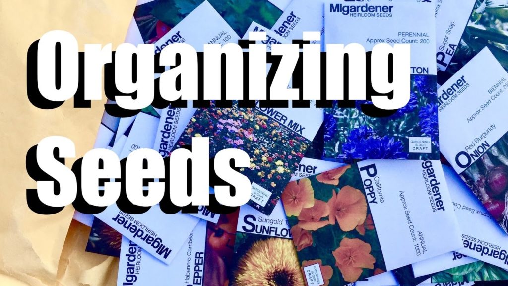 CaliKim: How I Organized My Seed Collection – DIY, Simple & Inexpensive How I Organized My Seed Collection - DIY, Simple & Inexpensive