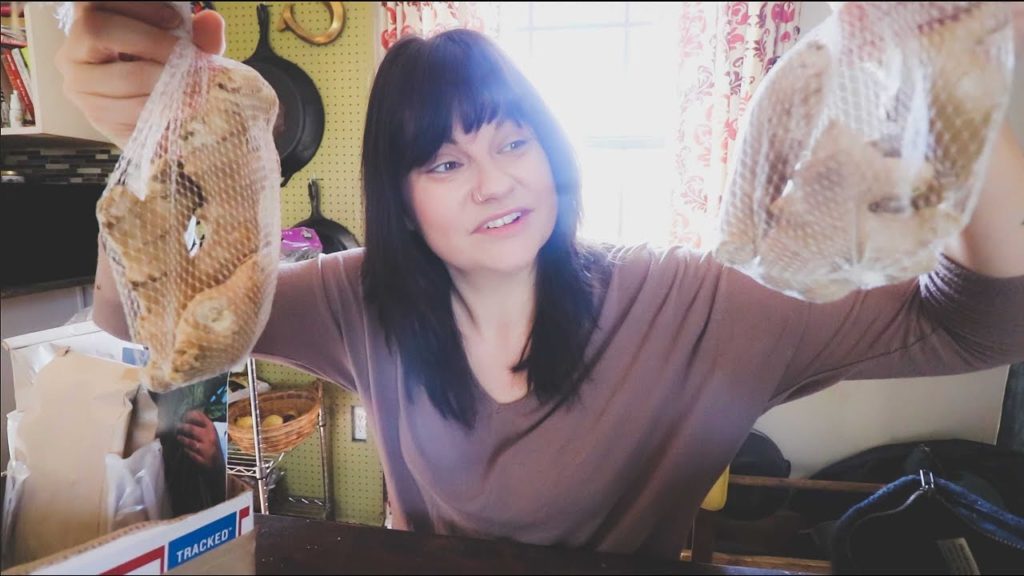 Plant Delivery UNBOXING | VLOG