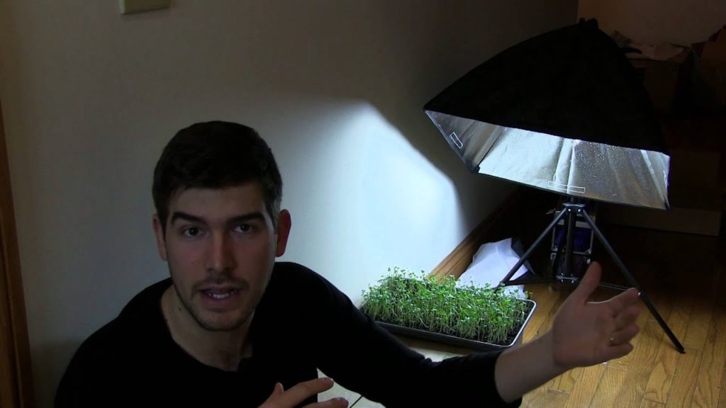 MIgardener: Complete Indoor Growlight Setup for less than $35! Complete Indoor Growlight Setup for less than $35!