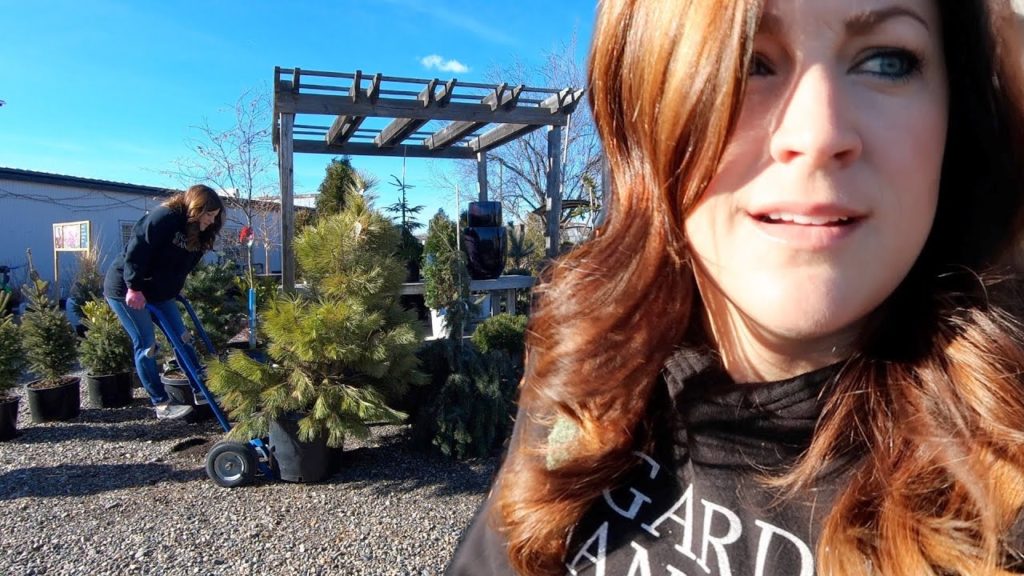 Garden Answer: I Spent the Day Working at The Garden Center 🌿💪// Garden Answer I Spent the Day Working at The Garden Center 🌿💪// Garden Answer