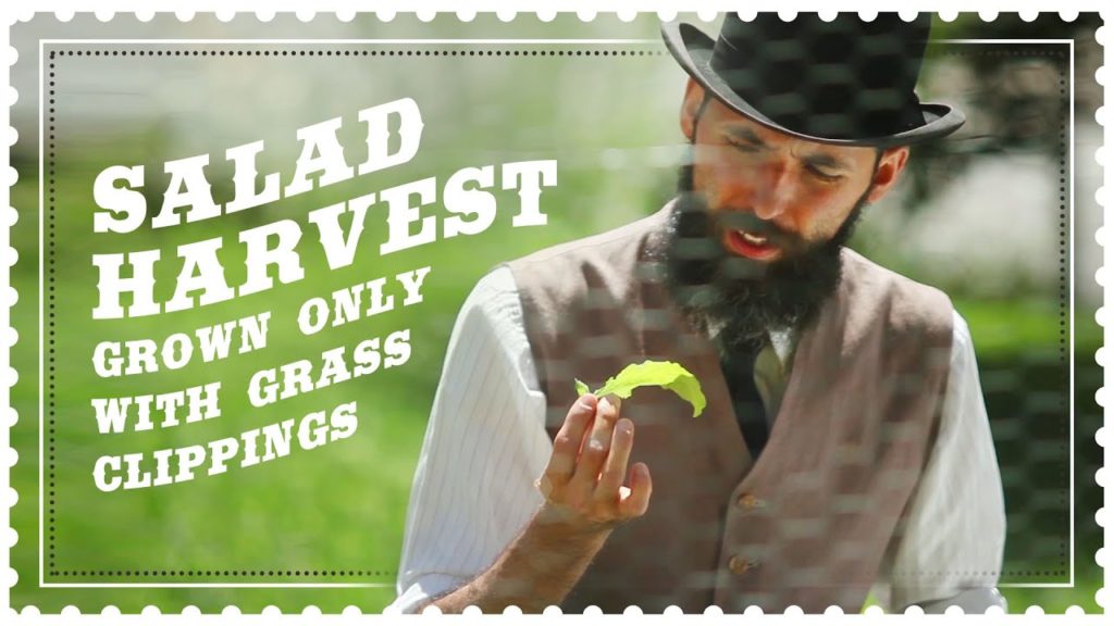 Siloé Oliveira: Growing Salad Greens – Arugula Growing Salad Greens - Arugula