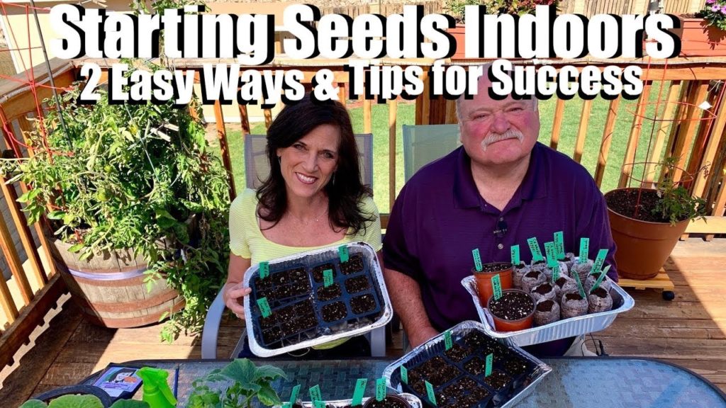 CaliKim: How to Start Seeds Indoors for Your Spring Garden-2 EZ Ways & Tips 4 Success/Spring Garden Series #2 How to Start Seeds Indoors for Your Spring Garden-2 EZ Ways & Tips 4 Success/Spring Garden Series #2