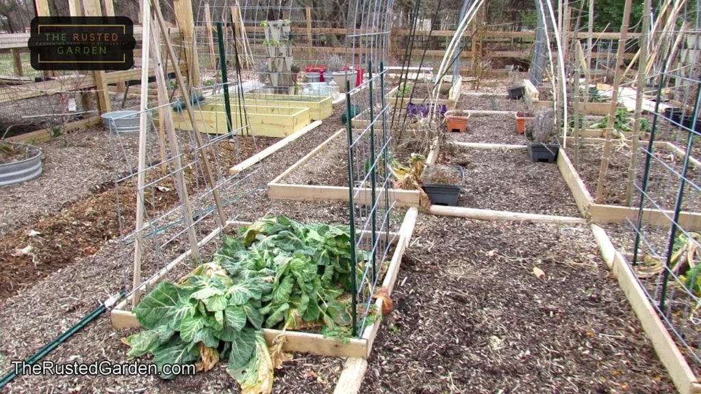 All About Vegetable Gardening Taught in a Real Time Series: Subscribe, Learn, Grow & Ask Questions