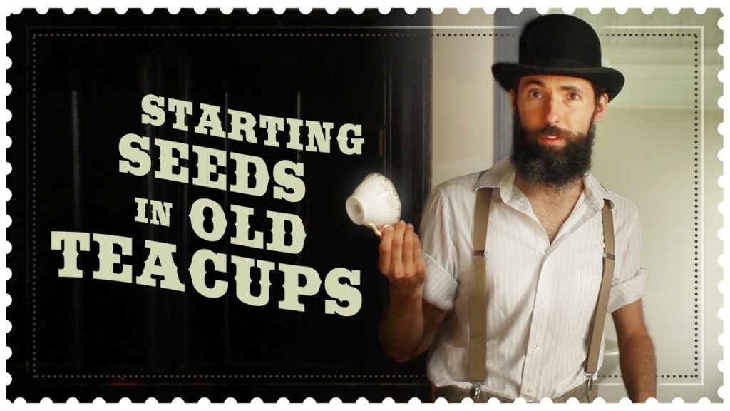 Siloé Oliveira: Starting Seeds in Old Tea Cups. Drilling hole in ceramic pottery Starting Seeds in Old Tea Cups. Drilling hole in ceramic pottery