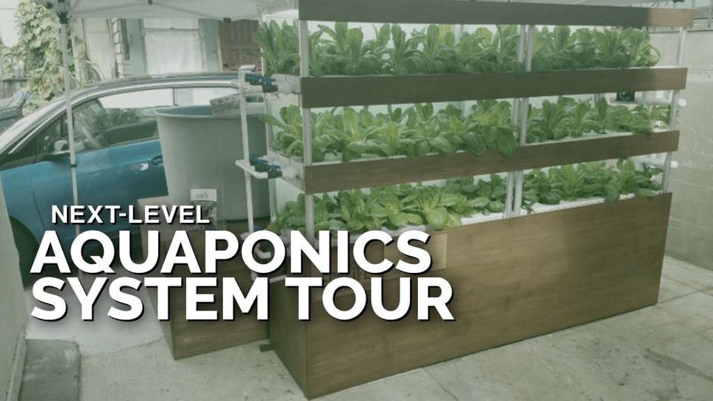 This Aquaponics System Design is NEXT-LEVEL