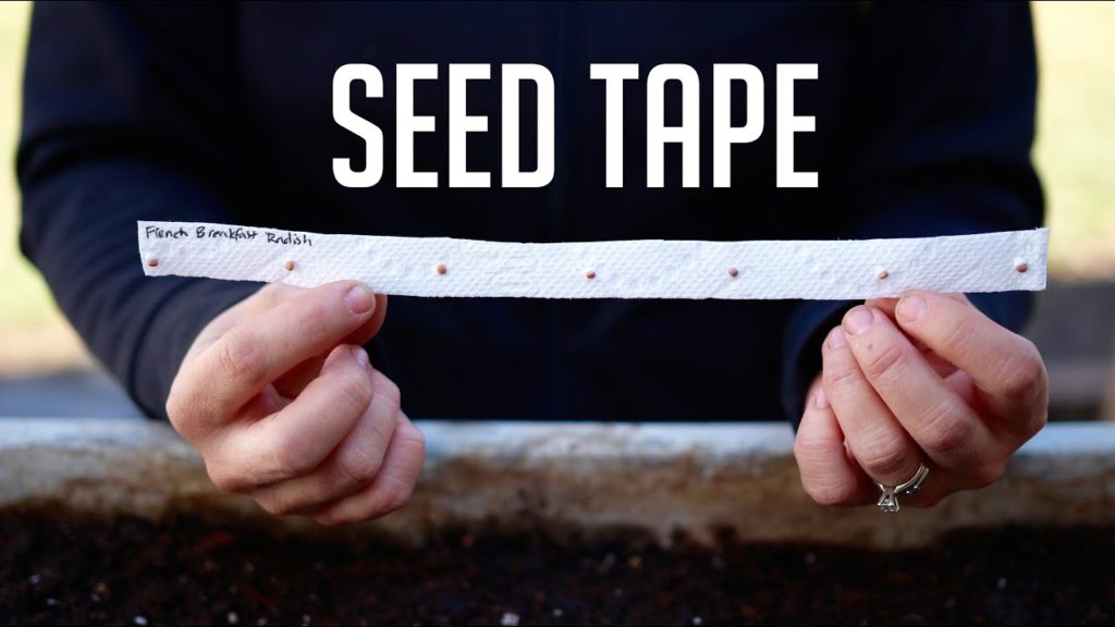 Garden Answer: How to Make Seed Tape How to Make Seed Tape